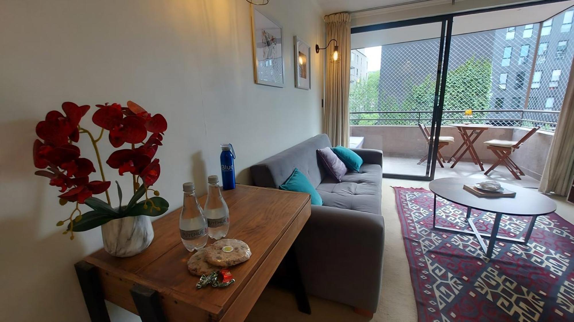 Apartamento Comodo Tranquilo Providencia * Santiago del Cile